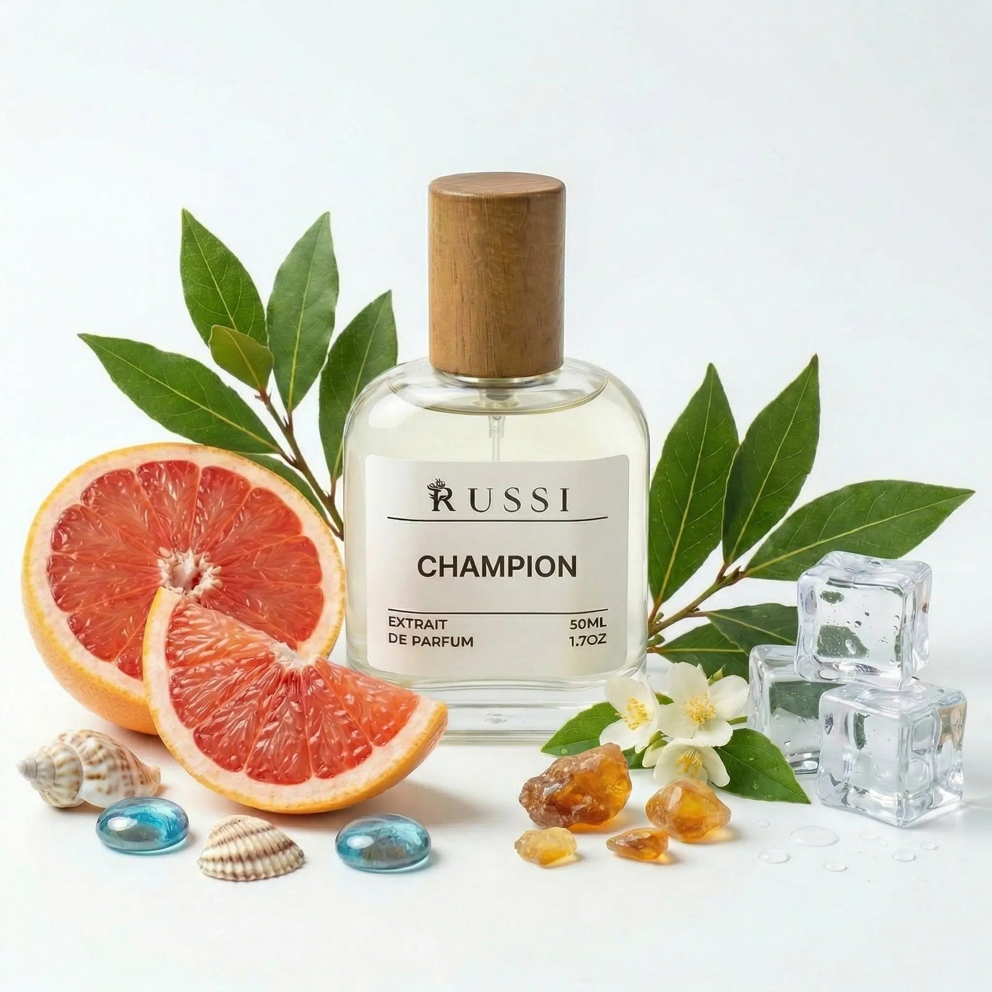 CHAMPION JŪROS NATOS · CITRUSAI · MEDIENA